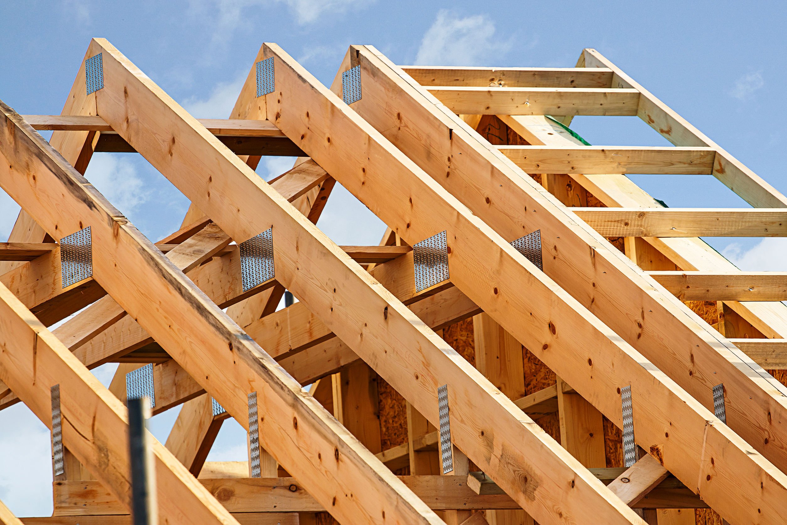 Bâtiment à ossature bois standard avec gros plan sur les fermes de la charpente en bois du toit