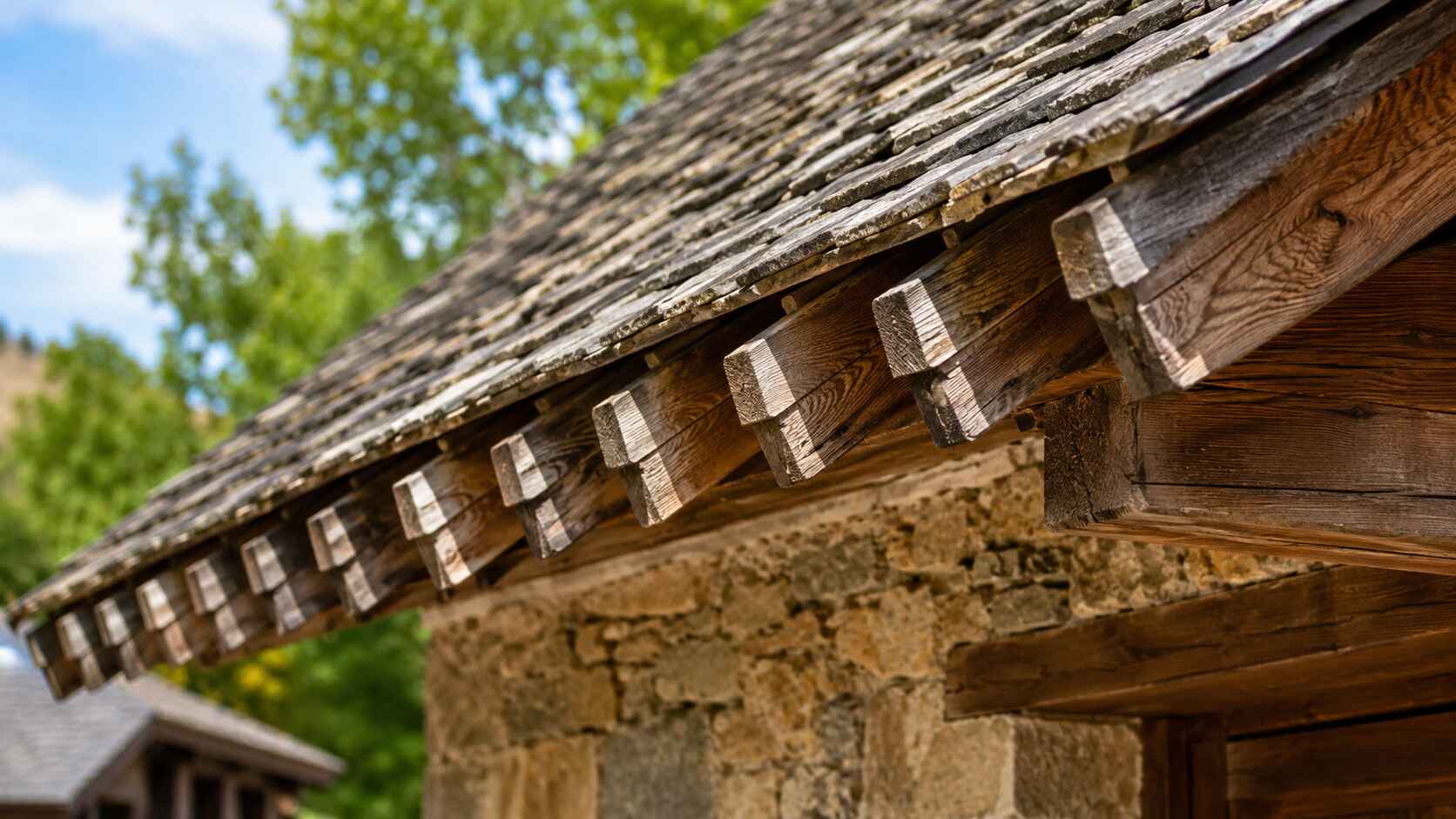 Le rôle des coyaux dans la formation des queues de vache