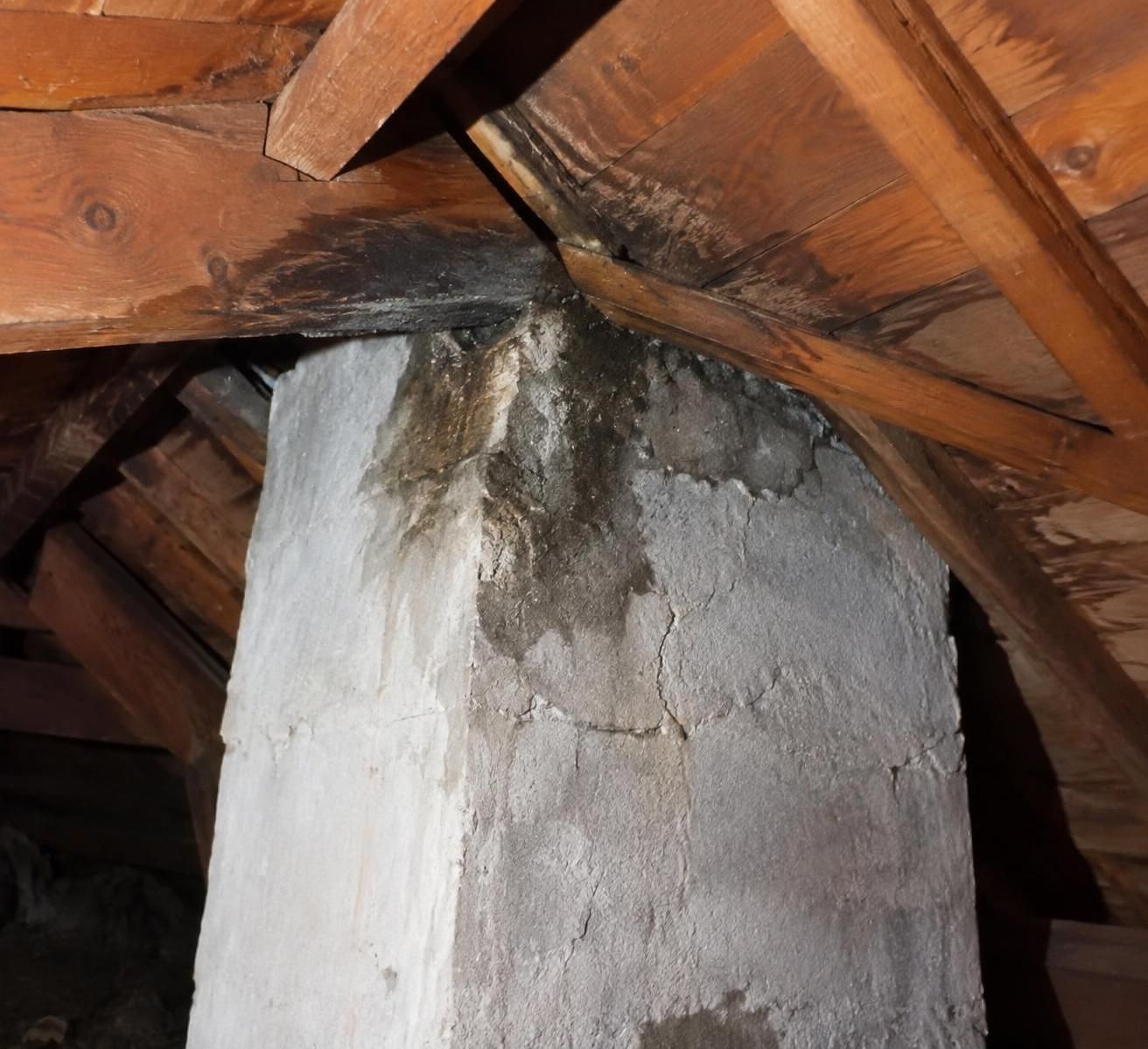 découvrez les signes de champignons lignivores dans votre charpente : bois ramolli, taches et odeurs. apprenez à les repérer avant que les dégâts ne s’aggravent.