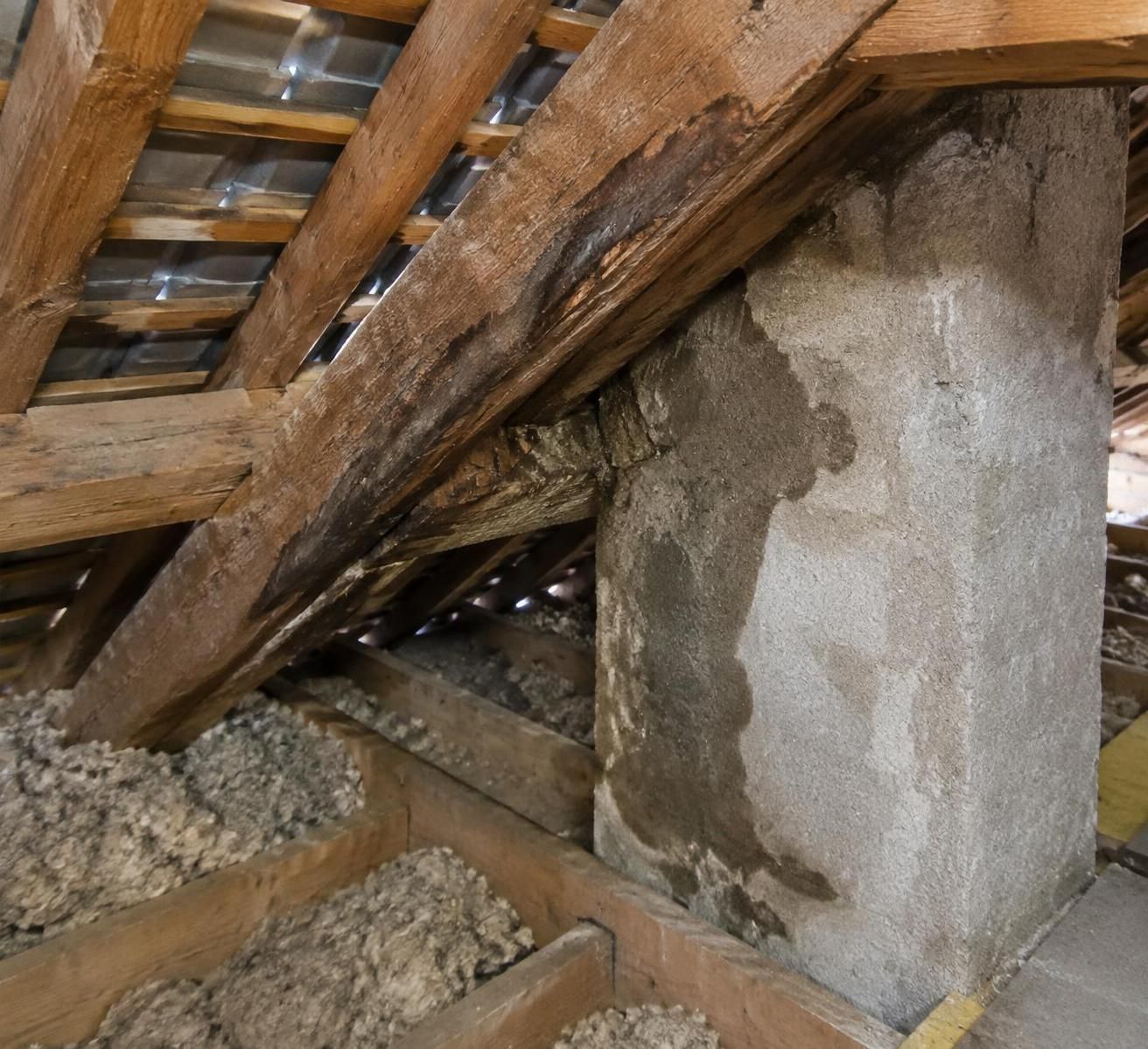 découvrez comment prévenir les champignons dans une charpente grâce à une bonne ventilation, au contrôle de l’humidité et à un entretien régulier.